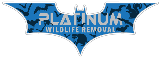 Wildlife Control Noble County